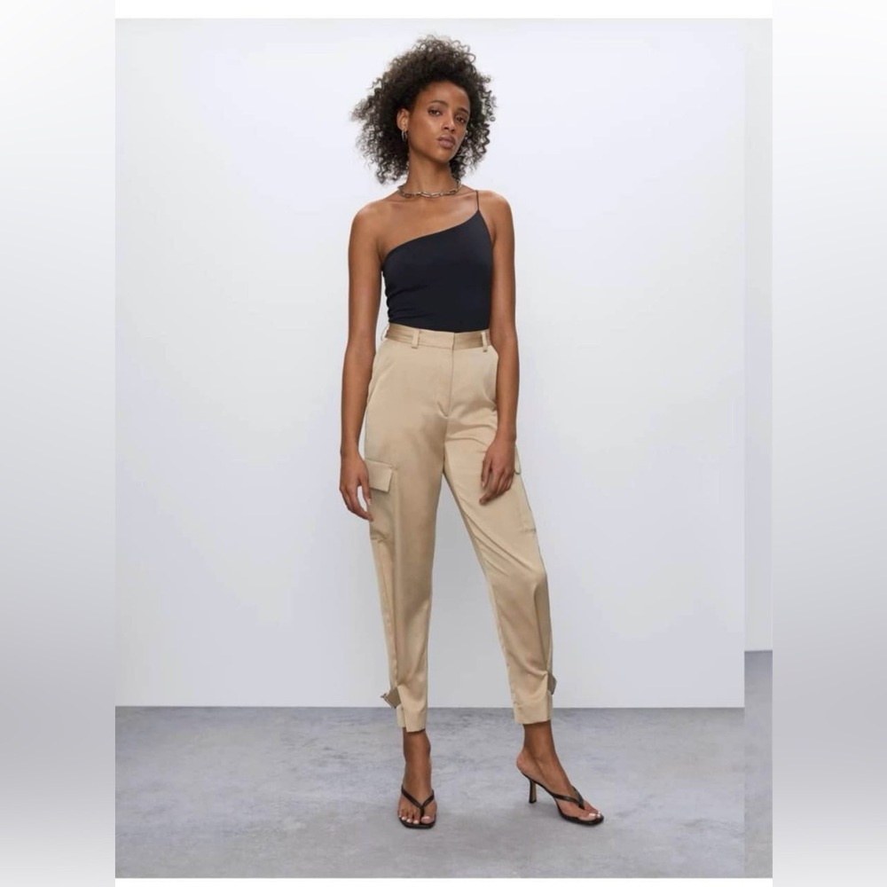 Babaton refined satin cargo pant, aritzia